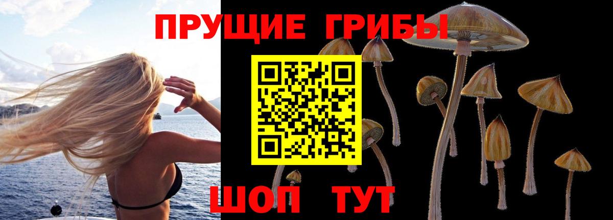 Галлюциногенные грибы ЛСД Баксан